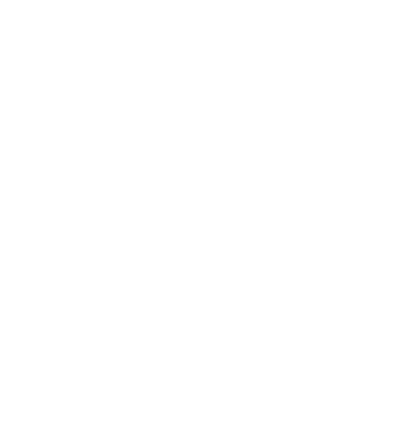 Sigle